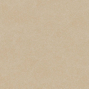 Charlotte Fabric V502 Sand Dollar