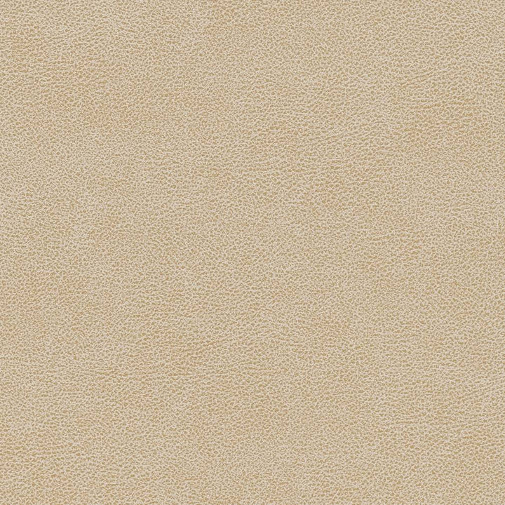 V502 Sand Dollar by Charlotte Designer Fabric Breathables IV 100% Breathable Polyurethane, 26oz. China Exceeds 250,000 Wyzenbeek Rubs (Heavy Duty) No Repeat 54 Inches - Swanky Fabrics -