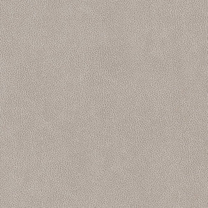 Charlotte Fabric V503 Platinum
