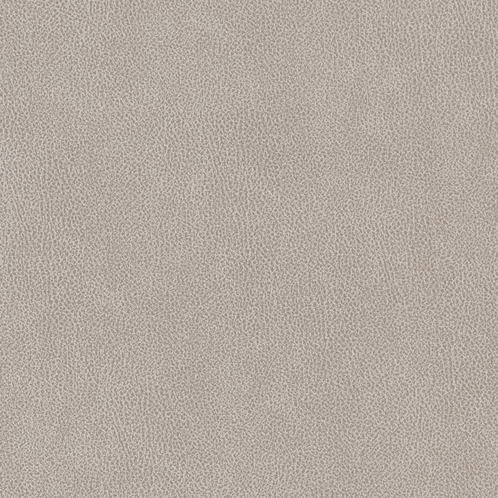 V503 Platinum by Charlotte Designer Fabric Breathables IV 100% Breathable Polyurethane, 26oz. China Exceeds 250,000 Wyzenbeek Rubs (Heavy Duty) No Repeat 54 Inches - Swanky Fabrics -
