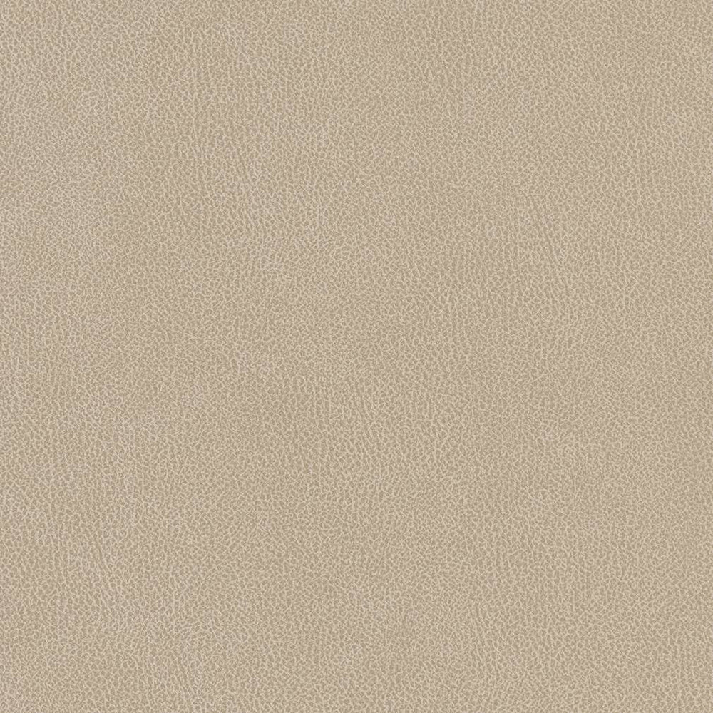 V506 Linen by Charlotte Designer Fabric Breathables IV 100% Breathable Polyurethane, 26oz. Asia Exceeds 2,000,000 Wyzenbeek Double Rubs (Heavy Duty) </p><p>Repeat: 54 Inches - Swanky Fabrics -