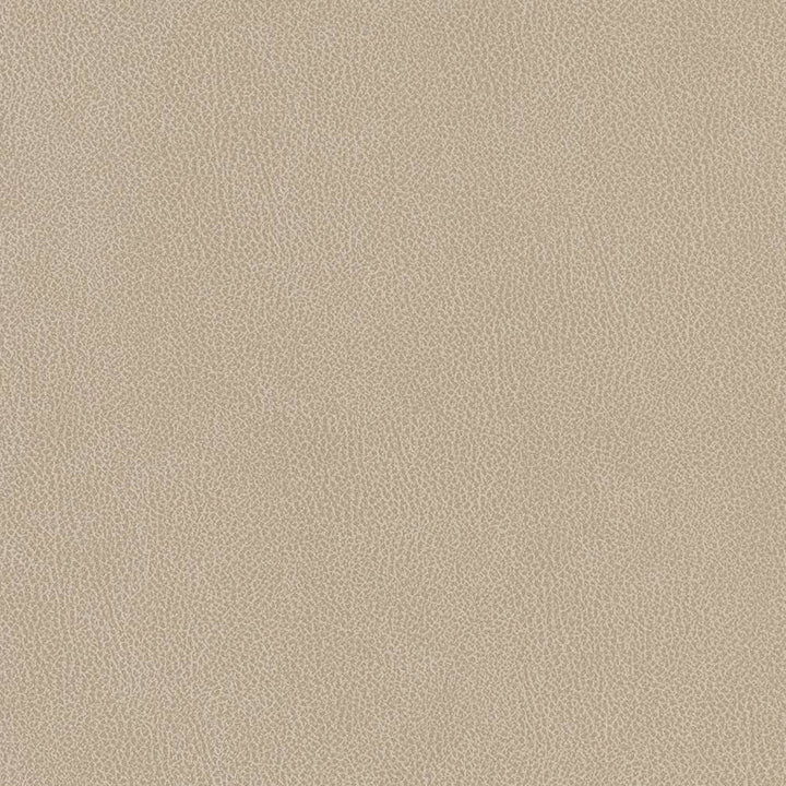 V506 Linen by Charlotte Designer Fabric Breathables IV 100% Breathable Polyurethane, 26oz. Asia Exceeds 2,000,000 Wyzenbeek Double Rubs (Heavy Duty) </p><p>Repeat: 54 Inches - Swanky Fabrics -