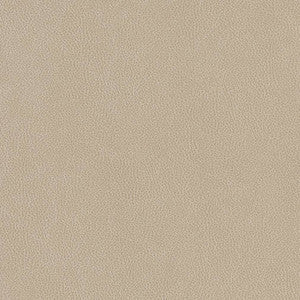 Charlotte Fabric V506 Linen