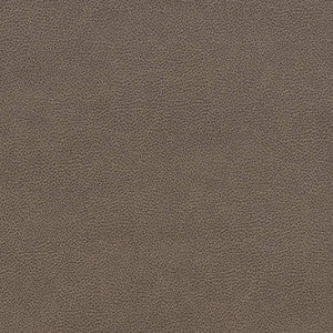 Charlotte Fabric V507 Ash