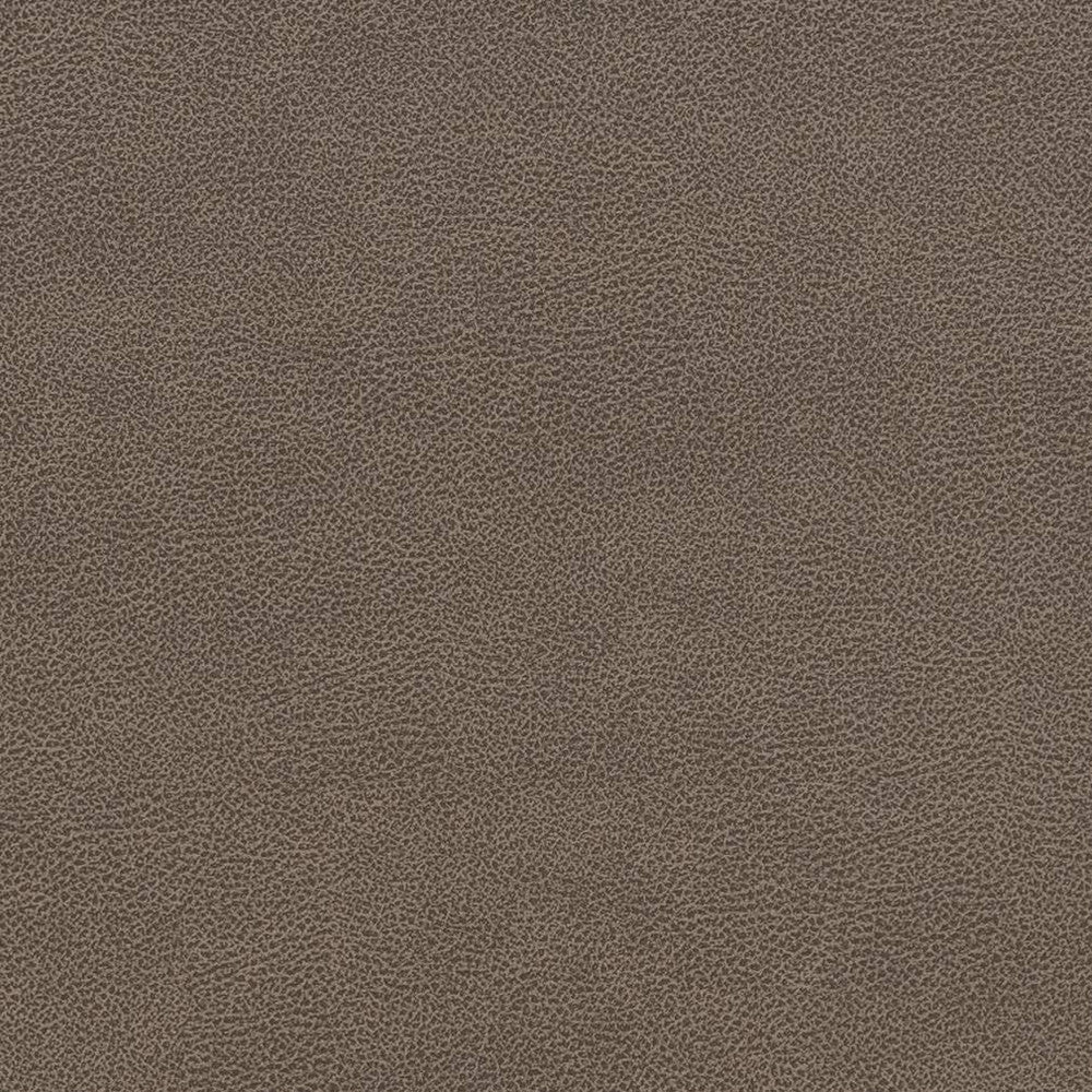V507 Ash by Charlotte Designer Fabric Breathables IV 100% Breathable Polyurethane, 26oz. China Exceeds 250,000 Wyzenbeek Rubs (Heavy Duty) No Repeat 54 Inches - Swanky Fabrics -