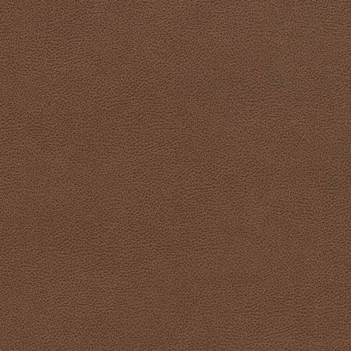 V509 Pecan by Charlotte Designer Fabric Breathables IV 100% Breathable Polyurethane, 26oz. China Exceeds 250,000 Wyzenbeek Rubs (Heavy Duty) No Repeat 54 Inches - Swanky Fabrics -