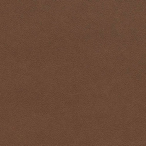 Charlotte Fabric V509 Pecan