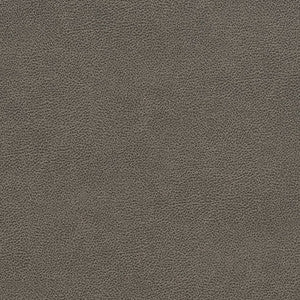 Charlotte Fabric V510 Storm