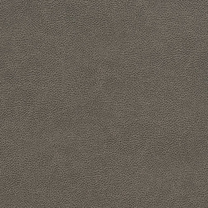 V510 Storm by Charlotte Designer Fabric Breathables IV 100% Breathable Polyurethane, 26oz. China Exceeds 250,000 Wyzenbeek Rubs (Heavy Duty) No Repeat 54 Inches - Swanky Fabrics -