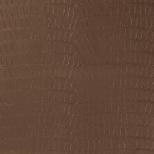 Charlotte Fabric V591 Chocolate