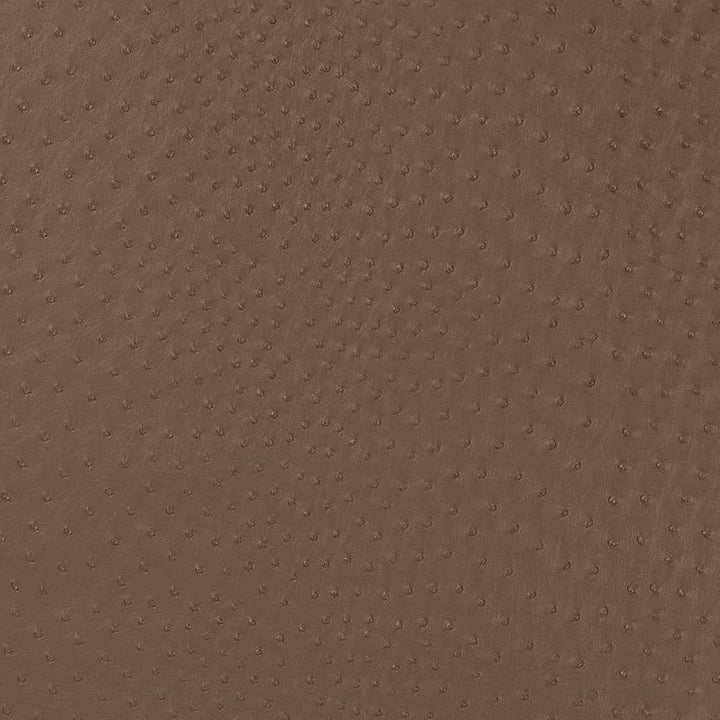 V594 Mink by Charlotte Designer Fabric Exotics II 100% Vinyl Asia Exceeds 200,000 Wyzenbeek Rubs (Heavy Duty) </p><p>Repeat: 54 Inches - Swanky Fabrics -