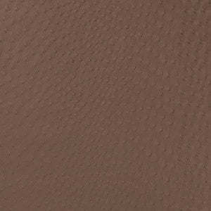 Charlotte Fabric V594 Mink