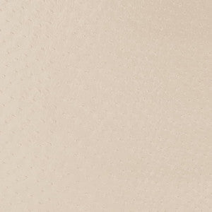 Charlotte Fabric V596 Parchment