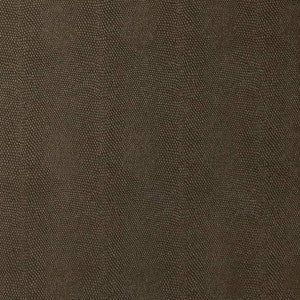 Charlotte Fabric V597 Raven