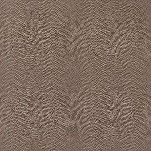 Charlotte Fabric V598 Hazelnut
