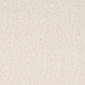 Charlotte Fabric V618 Pearl
