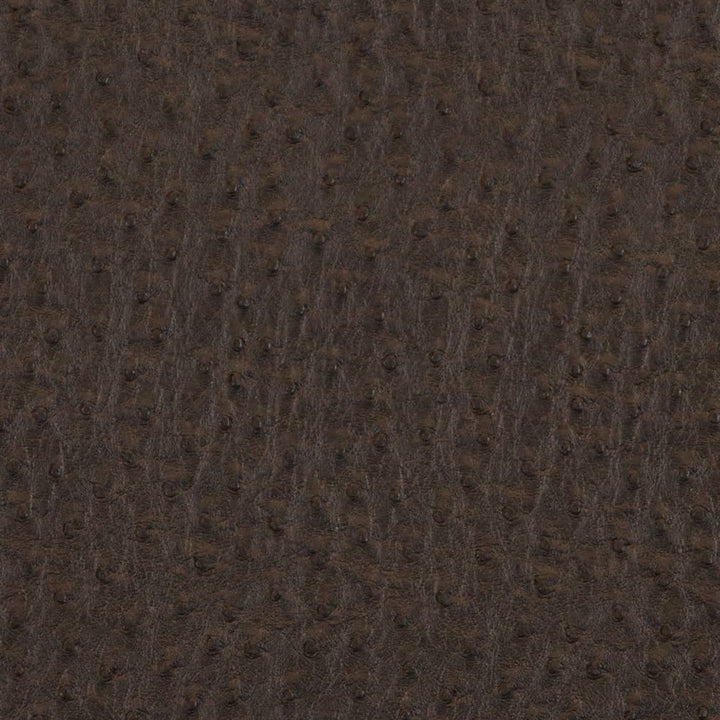 V619 Bark by Charlotte Designer Fabric Exotics II 100% Vinyl, 34oz. Asia Exceeds 200,000 Wyzenbeek Rubs (Heavy Duty) </p><p>Repeat: 54 Inches - Swanky Fabrics -
