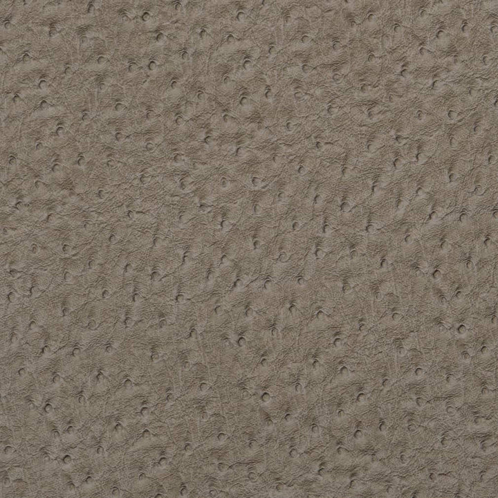 V622 Pewter by Charlotte Designer Fabric Exotics II 100% Vinyl, 34oz. Asia Exceeds 200,000 Wyzenbeek Rubs (Heavy Duty) </p><p>Repeat: 54 Inches - Swanky Fabrics -