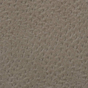 Charlotte Fabric V622 Pewter