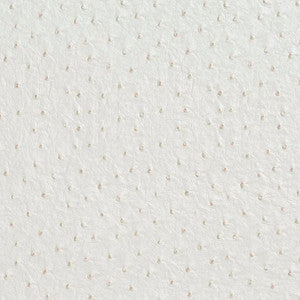 Charlotte Fabric V623 Cream