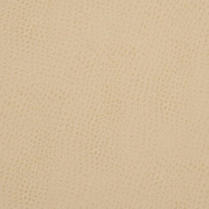Charlotte Fabric V626 Parchment
