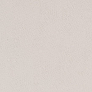 Charlotte Fabric V627 Natural