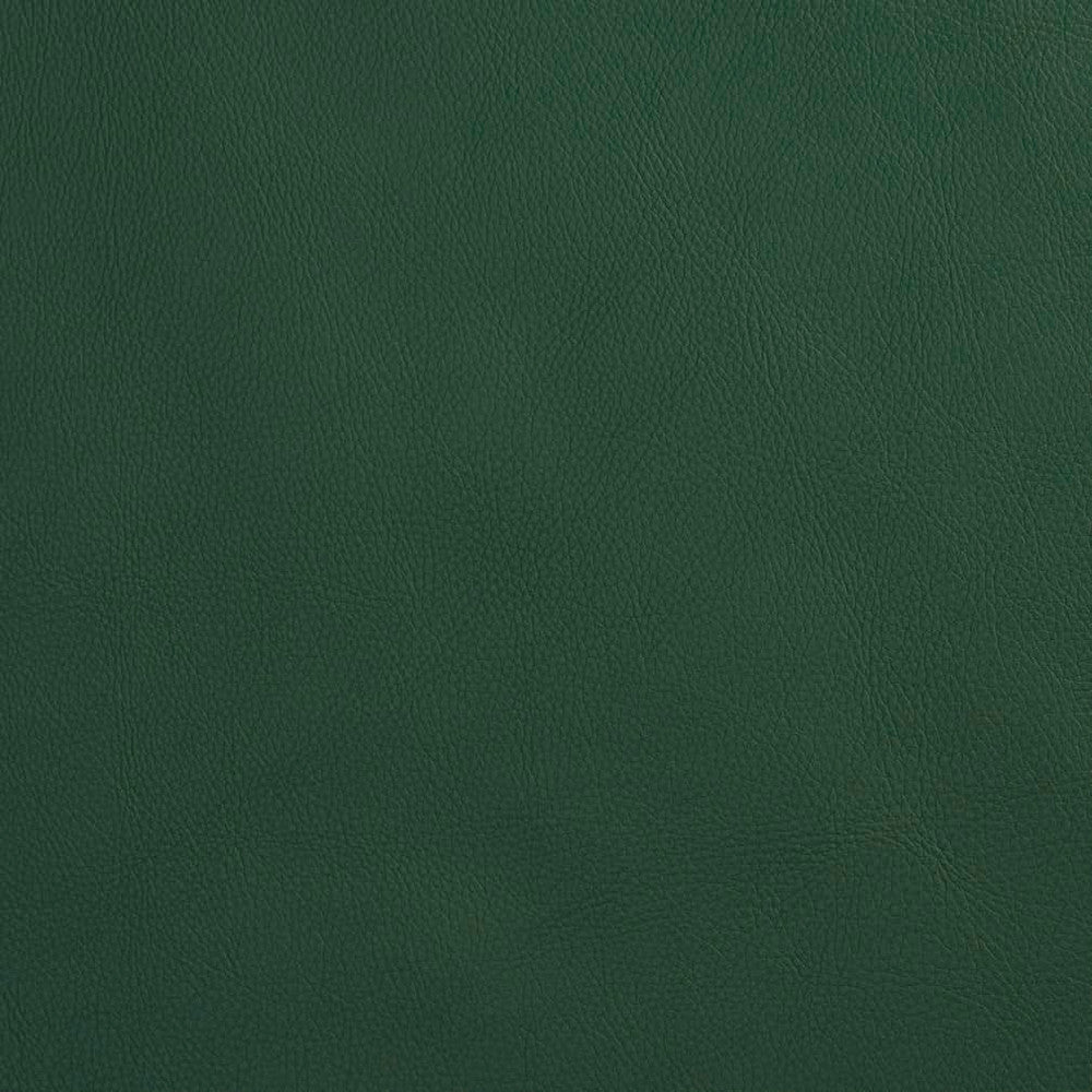 V639 Spruce by Charlotte Designer Fabric Ultrahyde Pro Face: Vinyl/Polyurethane, Back: Polyester Microsuede, 29oz. Asia Exceeds 2,000,000 Wyzenbeek Double Rubs (Heavy Duty) </p><p>Repeat: 54 Inches - Swanky Fabrics -