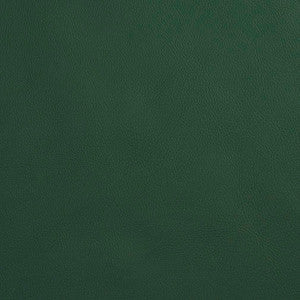 Charlotte Fabric V639 Spruce