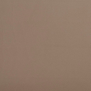 Charlotte Fabric V641 Taupe