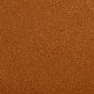 Charlotte Fabric V644 Palomino