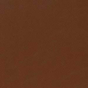 Charlotte Fabric V645 Canyon