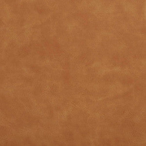 Charlotte Fabric V648 Buckskin