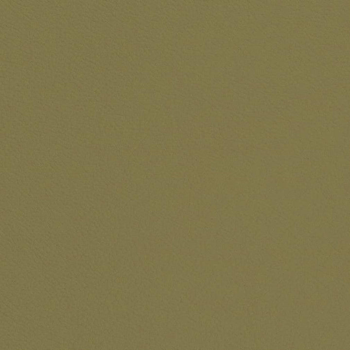 V660 Sage by Charlotte Designer Fabric Defender Face: 100% PVC, Back: Polyester knit backing, 28oz Thailand Exceeds 2,000,000 Wyzenbeek Double Rubs (Heavy Duty) </p><p>Repeat: 54 Inches - Swanky Fabrics -