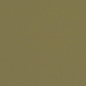 Charlotte Fabric V660 Sage