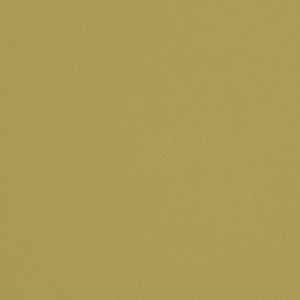 Charlotte Fabric V668 Pear