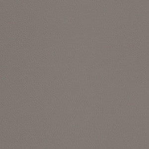 Charlotte Fabric V669 Pewter