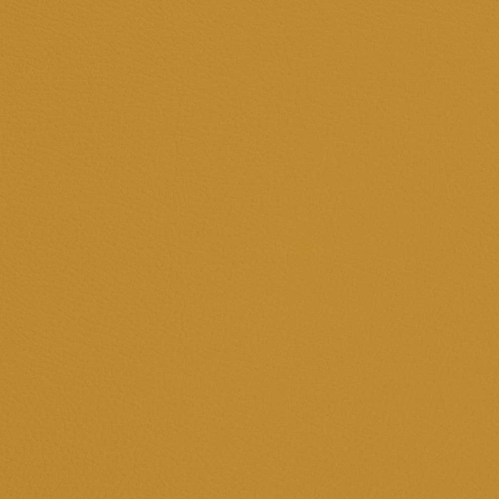 V671 Dandelion by Charlotte Designer Fabric Defender Face: 100% PVC, Back: Polyester knit backing, 28oz Thailand Exceeds 2,000,000 Wyzenbeek Double Rubs (Heavy Duty) </p><p>Repeat: 54 Inches - Swanky Fabrics -
