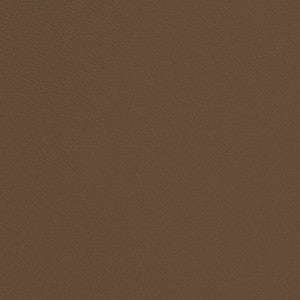 Charlotte Fabric V672 Bark