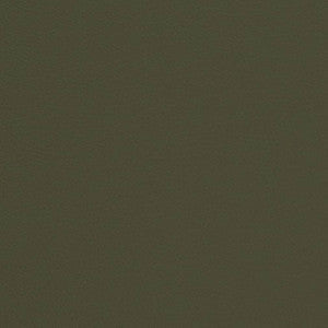 Charlotte Fabric V680 Moss