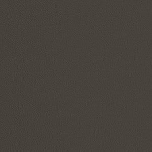 Charlotte Fabric V681 Iron