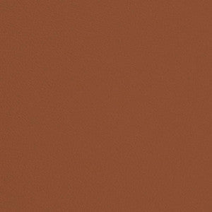 Charlotte Fabric V685 Rust