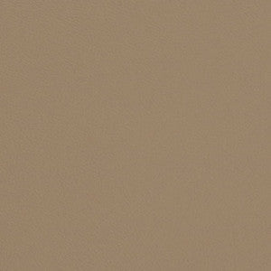 Charlotte Fabric V692 Mushroom