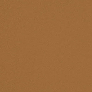 Charlotte Fabric V696 Butterscotch