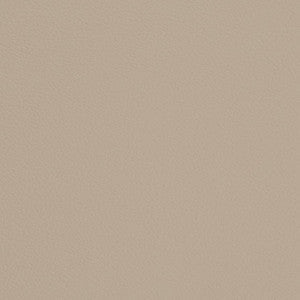 Charlotte Fabric V698 Dove