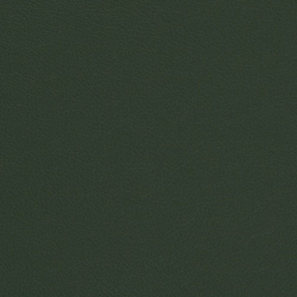 V699 Evergreen by Charlotte Designer Fabric Defender Face: 100% PVC, Back: Polyester knit backing, 28oz Thailand Exceeds 2,000,000 Wyzenbeek Double Rubs (Heavy Duty) </p><p>Repeat: 54 Inches - Swanky Fabrics -