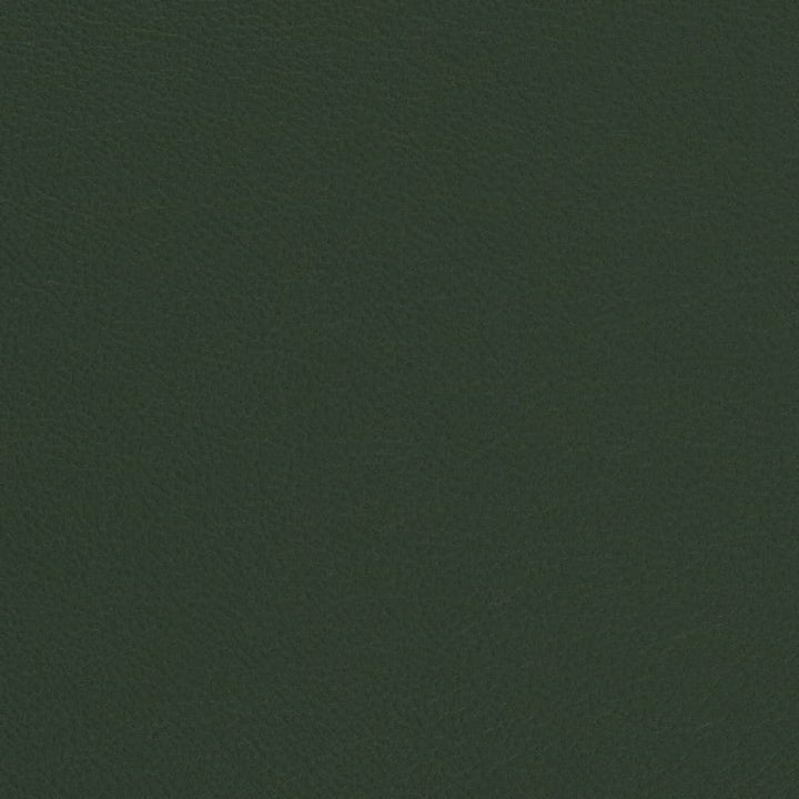 V699 Evergreen by Charlotte Designer Fabric Defender Face: 100% PVC, Back: Polyester knit backing, 28oz Thailand Exceeds 2,000,000 Wyzenbeek Double Rubs (Heavy Duty) </p><p>Repeat: 54 Inches - Swanky Fabrics -