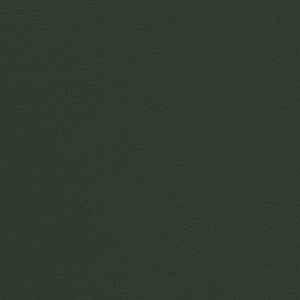 Charlotte Fabric V699 Evergreen