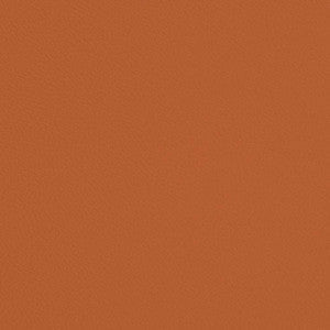 Charlotte Fabric V700 Marmalade