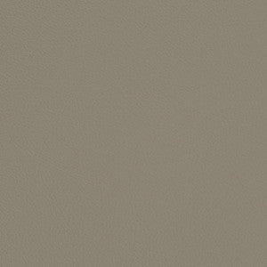 Charlotte Fabric V701 Stone
