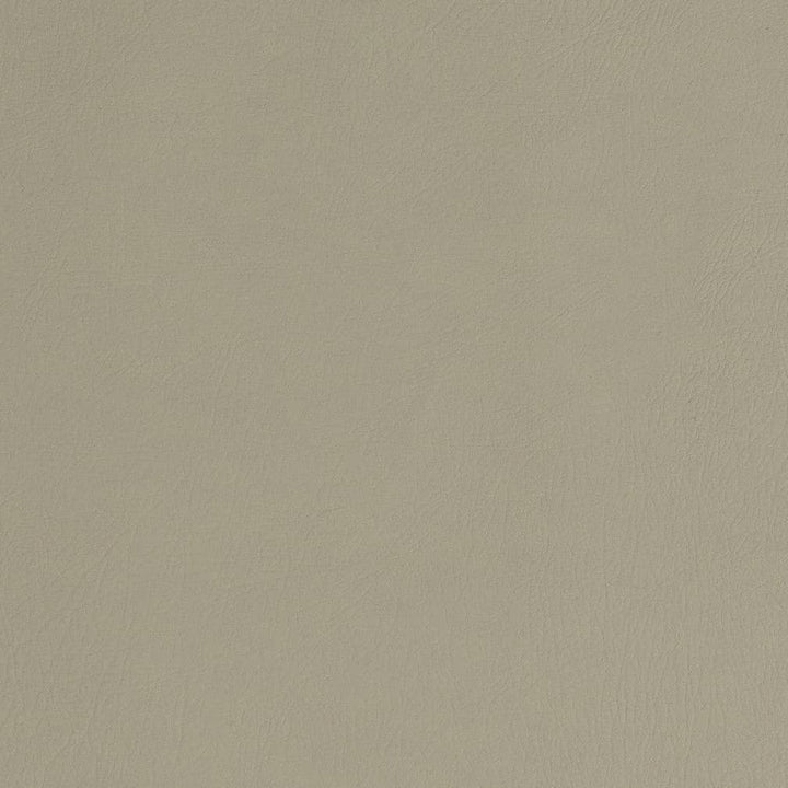 V753 Stone by Charlotte Designer Fabric Decorative Vinyl II 55% PVC, 40% Polyester, 5% Polyurethane Asia Exceeds 100,000 Wyzenbeek Rubs (Heavy Duty) </p><p>Repeat: 54 Inches - Swanky Fabrics -